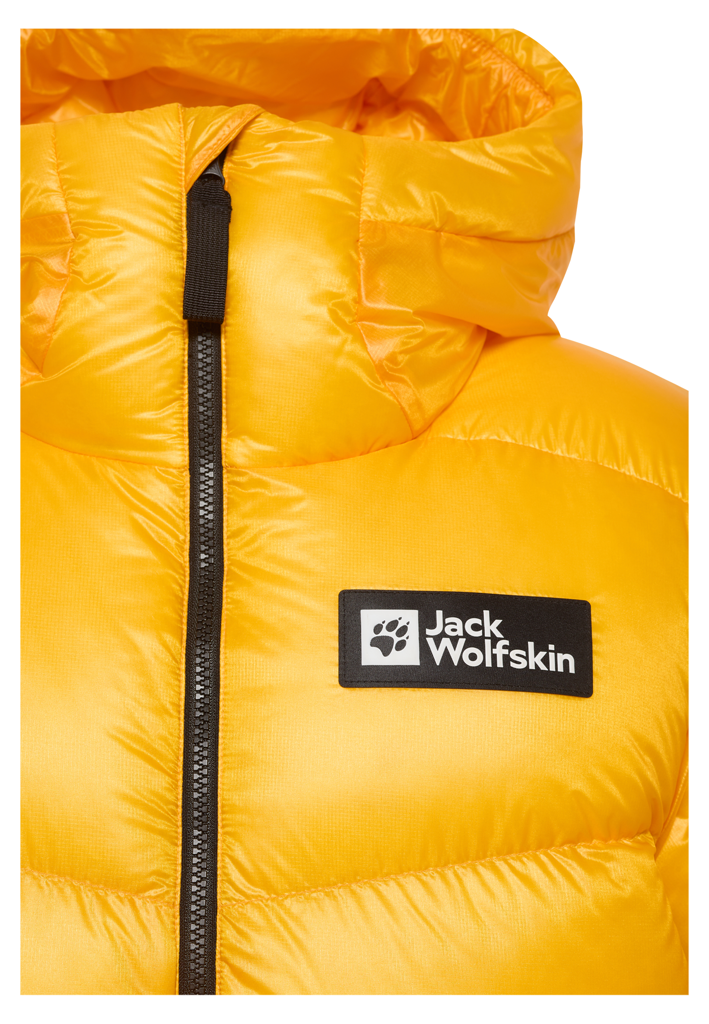 EXPDN DOWN JKT